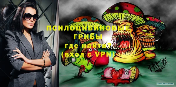 ГАЛЛЮЦИНОГЕННЫЕ ГРИБЫ Алексеевка