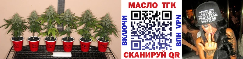 Дистиллят ТГК вейп  купить наркотики цена  Аргун 