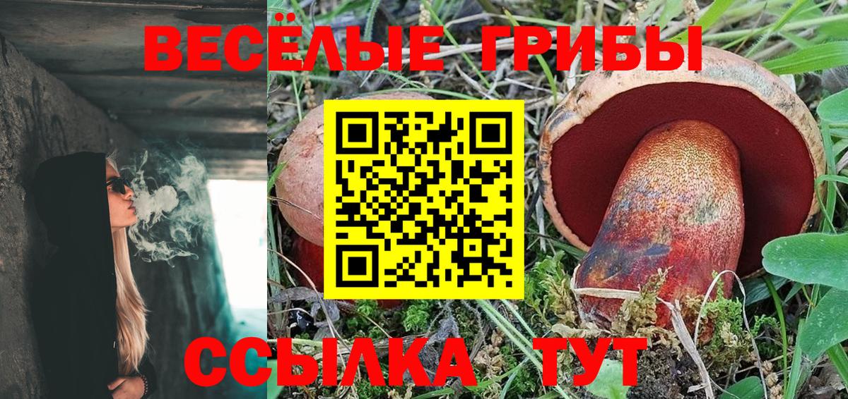 Псилоцибиновые грибы Psilocybine cubensis  Вход с VPN  Аргун 